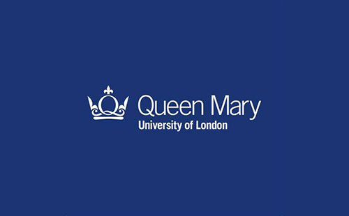 英国伦敦玛丽女王大学MBA、DBA